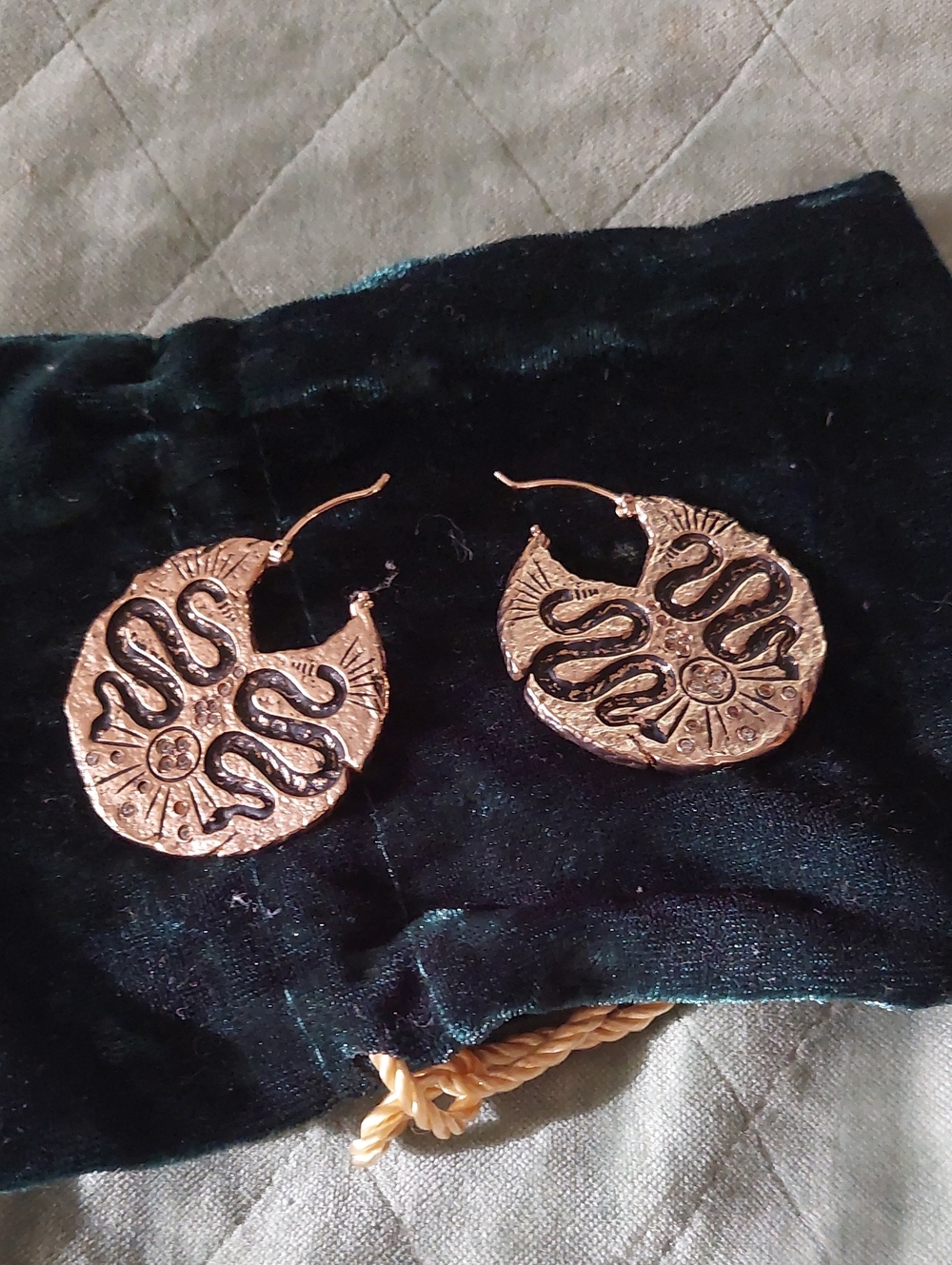 Snake Bronze Earrings